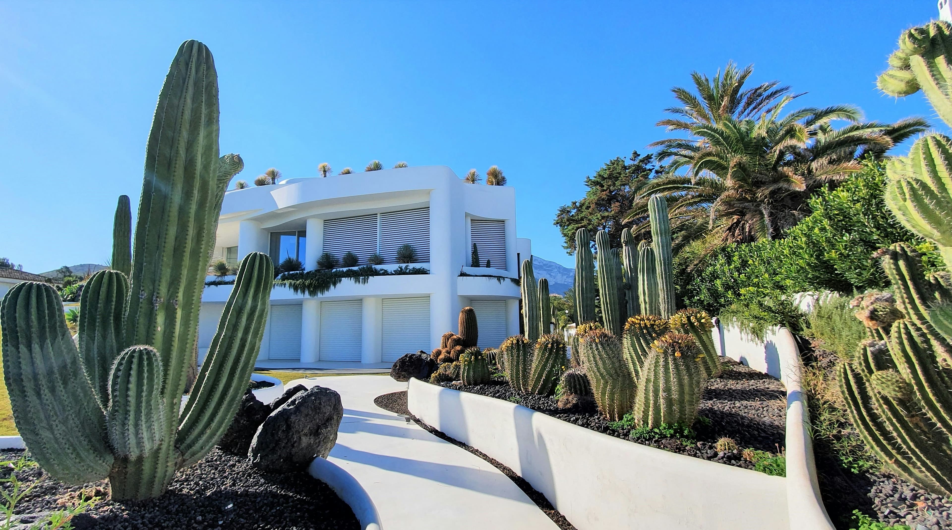 Landscaping & Outdoor Features