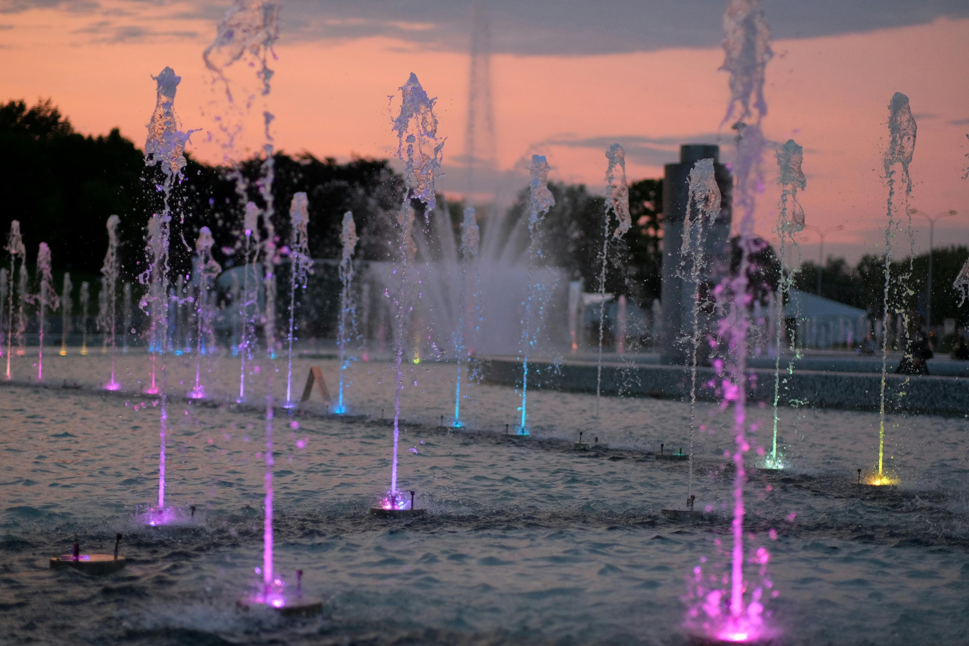 Water Features & Aquatics